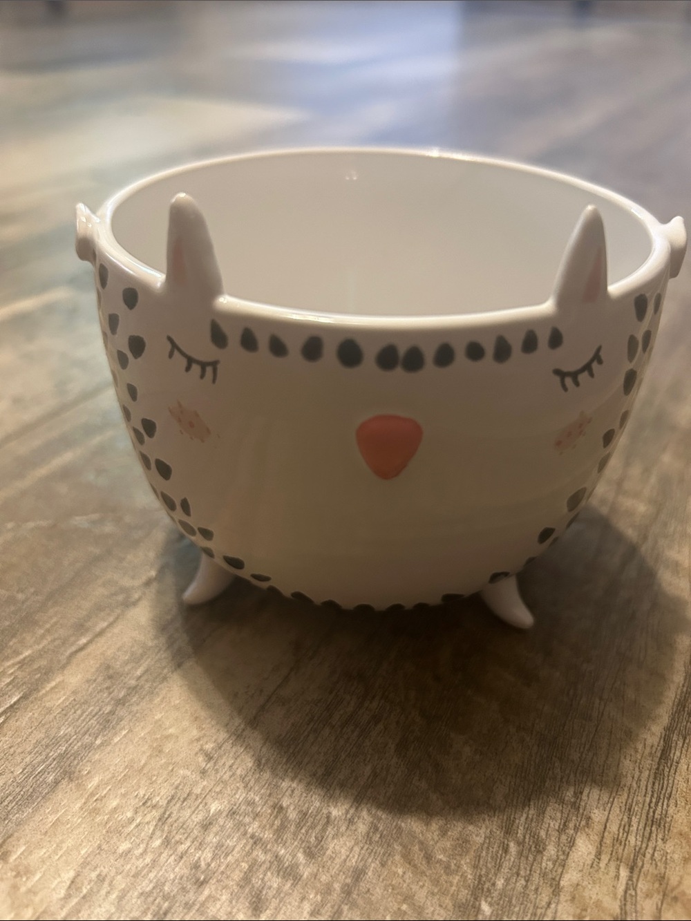 Discontinued Anthropologie Marta Turowska owl Trinket Bowl pink beaks printed